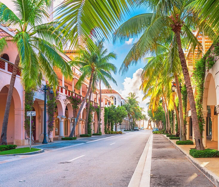 Palm-lined Boca Raton street near vein treatment center for varicose veins.